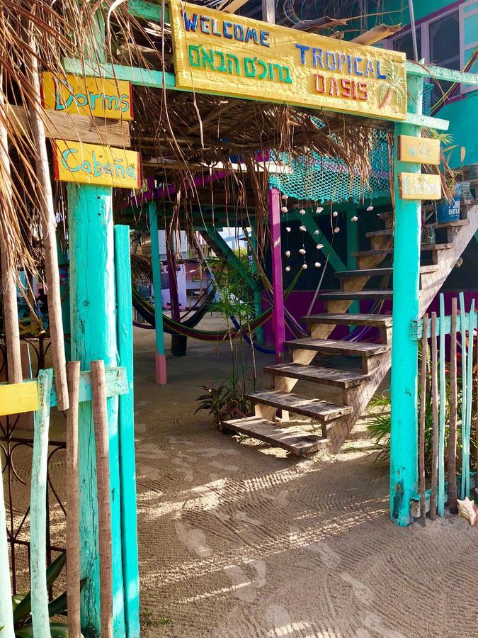نزل Caye Corkerفي Tropical Oasis المظهر الخارجي الصورة