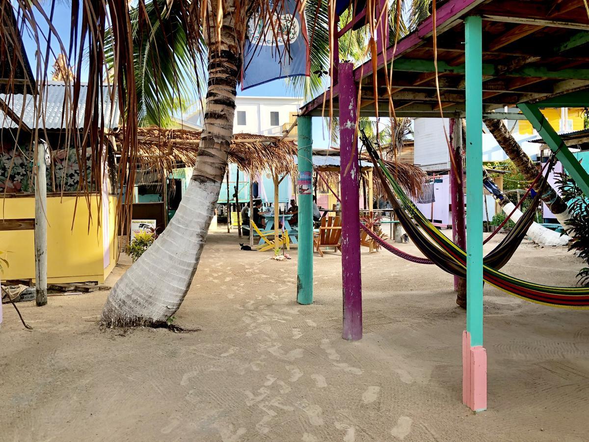 نزل Caye Corkerفي Tropical Oasis المظهر الخارجي الصورة